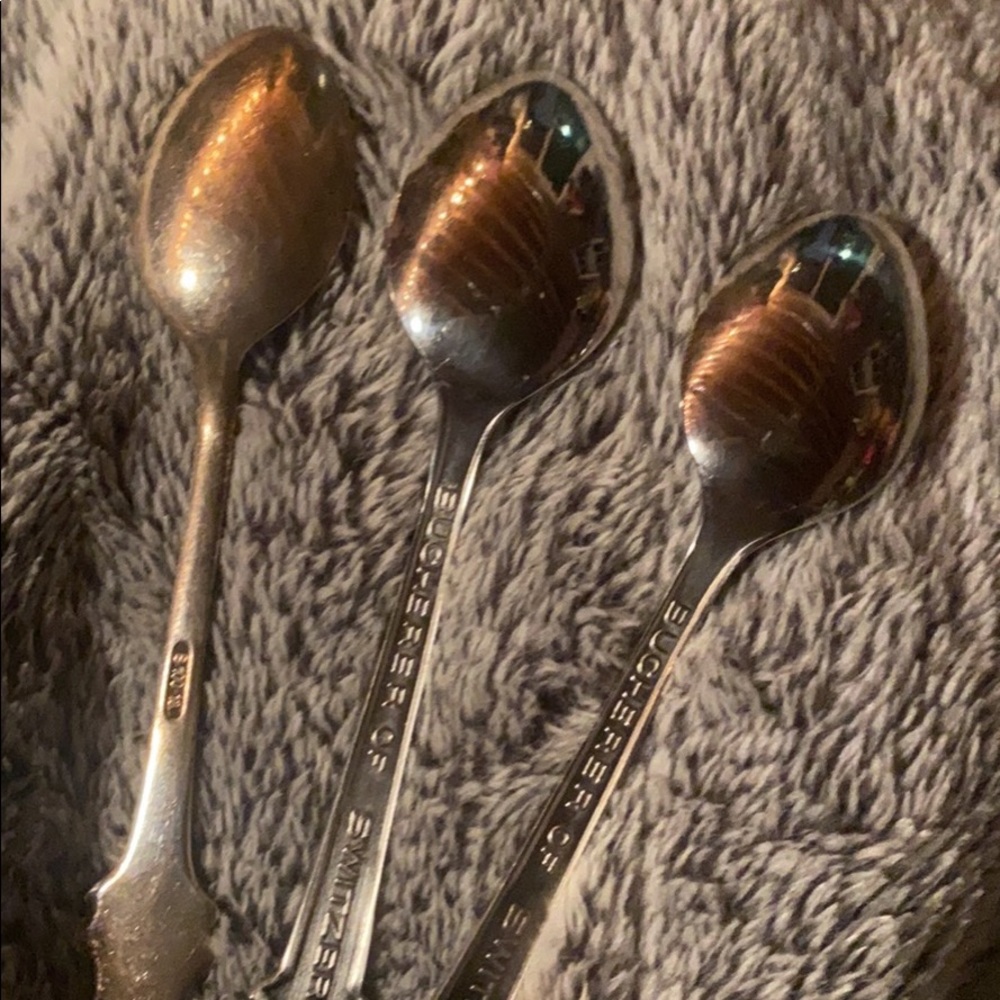 Rolex Spoon Set - Picture 6 of 7